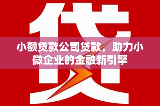 大兴安岭小额贷款公司贷款，助力小微企业的金融新引擎