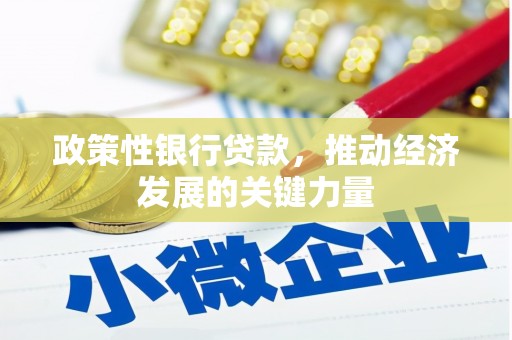 大兴安岭政策性银行贷款，推动经济发展的关键力量