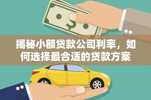 大兴安岭揭秘小额贷款公司利率，如何选择最合适的贷款方案