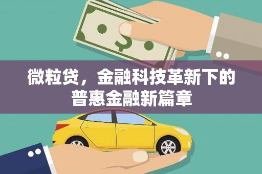 大兴安岭微粒贷，金融科技革新下的普惠金融新篇章