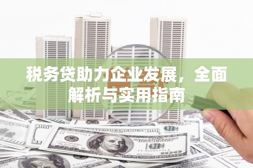 大兴安岭税务贷助力企业发展，全面解析与实用指南