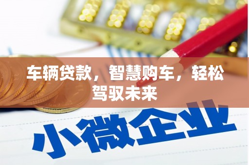 大兴安岭车辆贷款，智慧购车，轻松驾驭未来