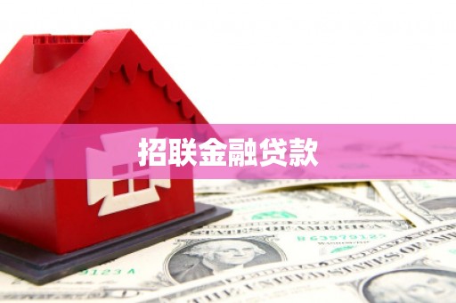 大兴安岭招联金融贷款