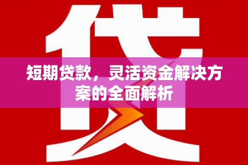 大兴安岭短期贷款，灵活资金解决方案的全面解析