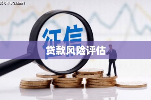 大兴安岭贷款风险评估