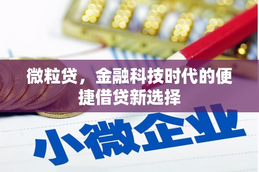 大兴安岭微粒贷，金融科技时代的便捷借贷新选择