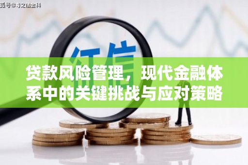 大兴安岭贷款风险管理，现代金融体系中的关键挑战与应对策略