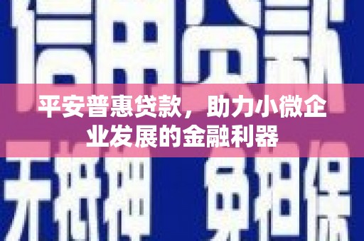 大兴安岭平安普惠贷款，助力小微企业发展的金融利器