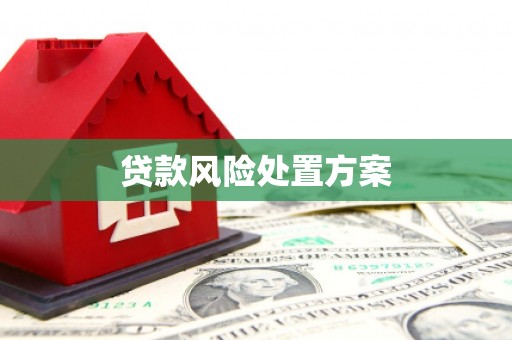大兴安岭贷款风险处置方案