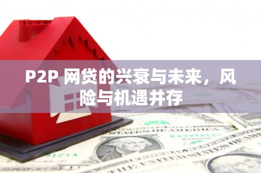 大兴安岭P2P 网贷的兴衰与未来，风险与机遇并存