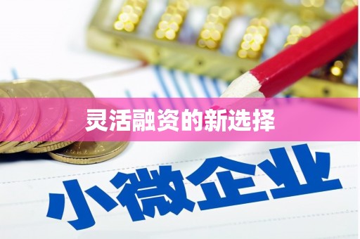 大兴安岭灵活融资的新选择