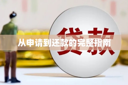 大兴安岭从申请到还款的完整指南
