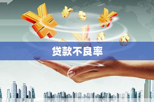 大兴安岭贷款不良率