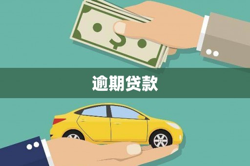 大兴安岭逾期贷款
