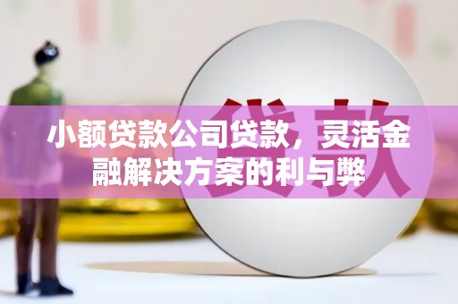 大兴安岭小额贷款公司贷款，灵活金融解决方案的利与弊