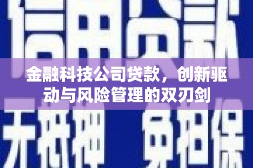 大兴安岭金融科技公司贷款，创新驱动与风险管理的双刃剑